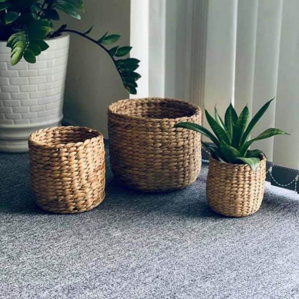 Set of 3 Flower Pots Water Hyacinth