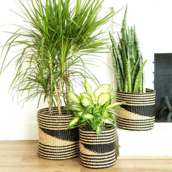 Large Geometric Cylindrical Seagrass Basket Planter Pot Storage Bins