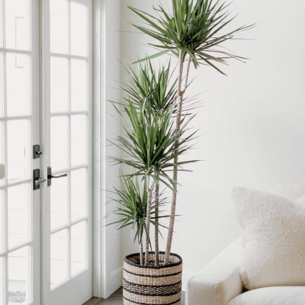 Individually handmade and unique planter basket for home decor