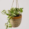 yellow stripe and natural seagrass hanging planter pot for indoor plants