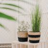 Mini black stripe planter basket