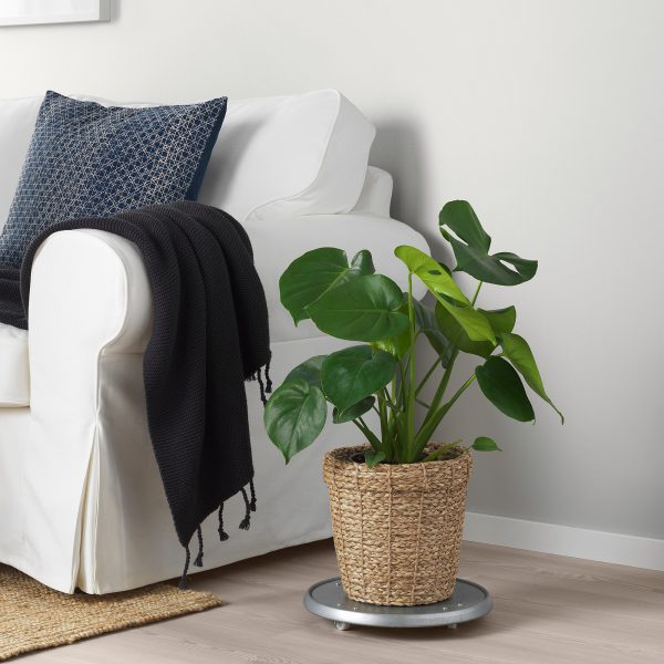 seagrass pot planter